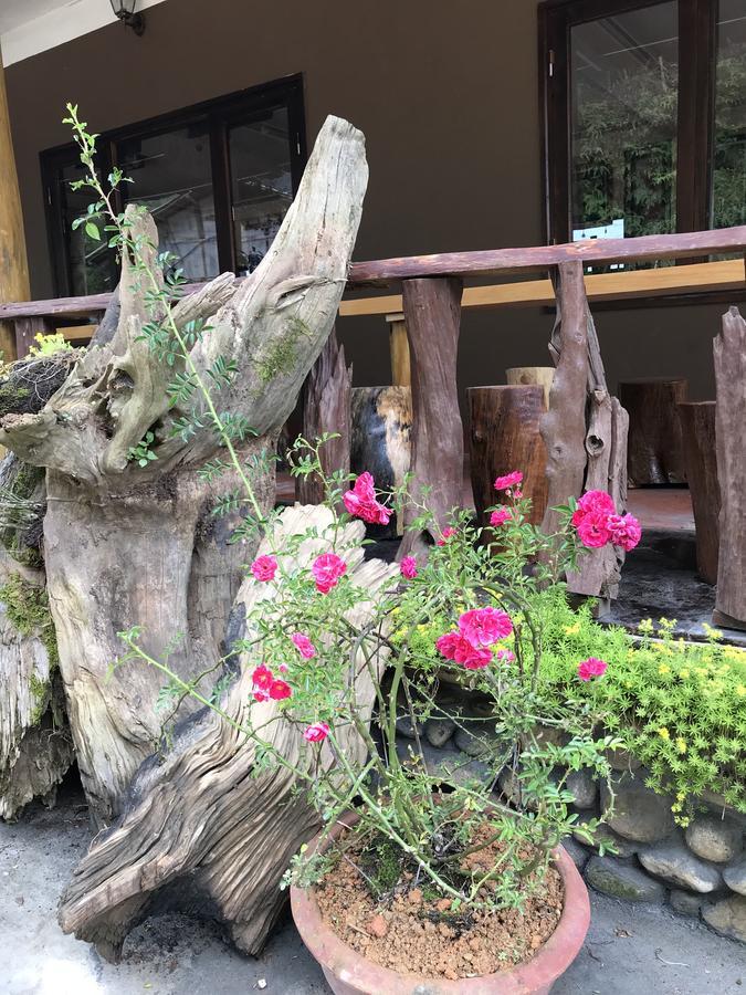 Pinocchio Tavan Homestay Sapa Dış mekan fotoğraf